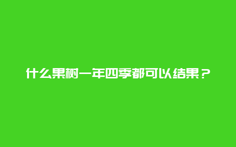 什么果树一年四季都可以结果？