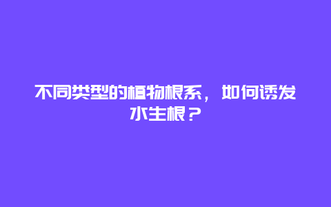 不同类型的植物根系，如何诱发水生根？