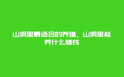 山洞里最适合的养殖，山洞里能养什么赚钱