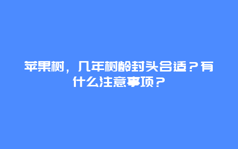 苹果树，几年树龄封头合适？有什么注意事项？