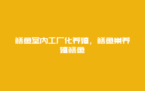 鳝鱼室内工厂化养殖，鳝鱼巢养殖鳝鱼