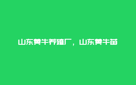 山东黄牛养殖厂，山东黄牛苗