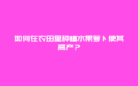 如何在农田里种植水果萝卜使其高产？