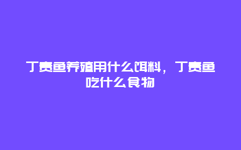 丁贵鱼养殖用什么饵料，丁贵鱼吃什么食物