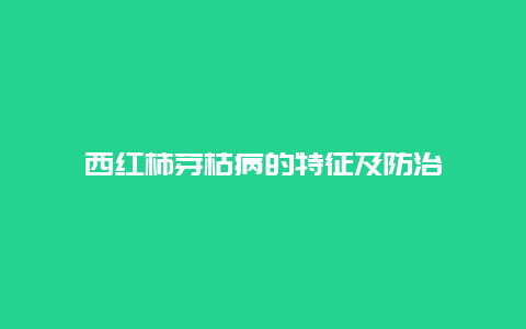 西红柿芽枯病的特征及防治