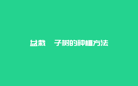 盆栽桔子树的种植方法