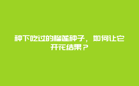 种下吃过的榴莲种子，如何让它开花结果？