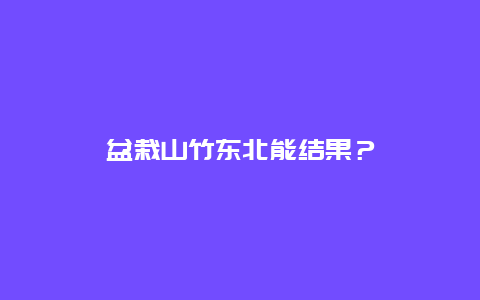 盆栽山竹东北能结果？