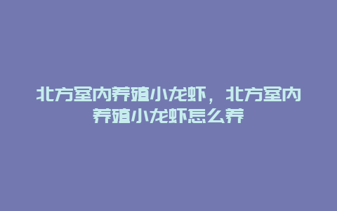 北方室内养殖小龙虾，北方室内养殖小龙虾怎么养