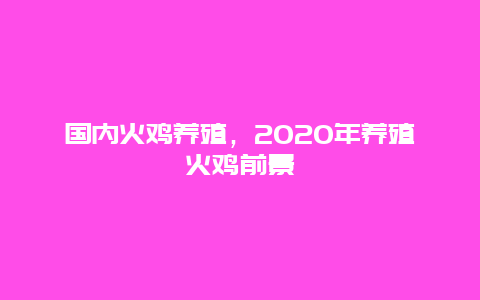 国内火鸡养殖，2020年养殖火鸡前景