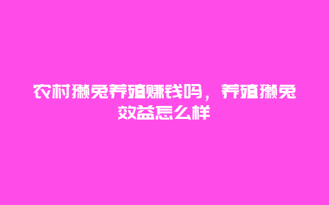 农村獭兔养殖赚钱吗，养殖獭兔效益怎么样