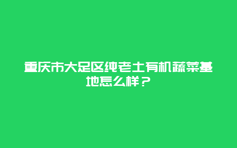 重庆市大足区纯老土有机蔬菜基地怎么样？