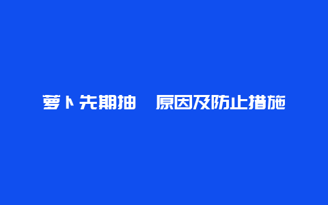 萝卜先期抽薹原因及防止措施