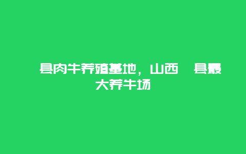 祁县肉牛养殖基地，山西祁县最大养牛场