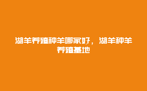 湖羊养殖种羊哪家好，湖羊种羊养殖基地