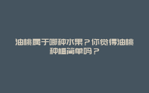 油桃属于哪种水果？你觉得油桃种植简单吗？