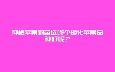 种植苹果树苗选哪个矮化苹果品种好呢？