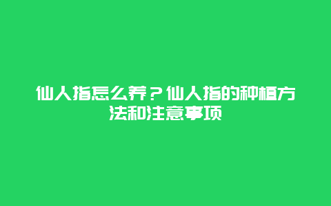 仙人指怎么养？仙人指的种植方法和注意事项