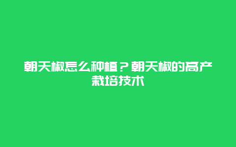 朝天椒怎么种植？朝天椒的高产栽培技术