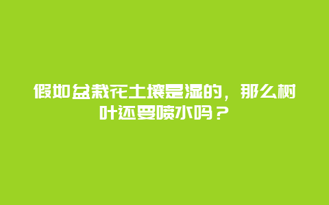 假如盆栽花土壤是湿的，那么树叶还要喷水吗？