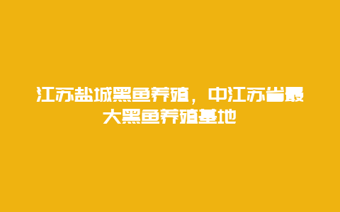 江苏盐城黑鱼养殖，中江苏省最大黑鱼养殖基地