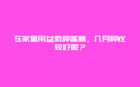 在家里用盆栽种莲藕，几月种比较好呢？