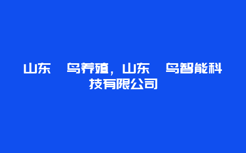 山东鸸鸟养殖，山东椋鸟智能科技有限公司