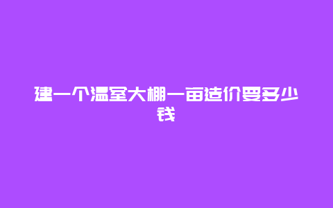 建一个温室大棚一亩造价要多少钱