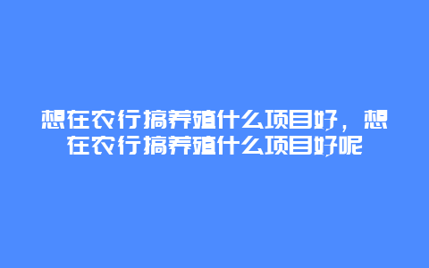 想在农行搞养殖什么项目好，想在农行搞养殖什么项目好呢