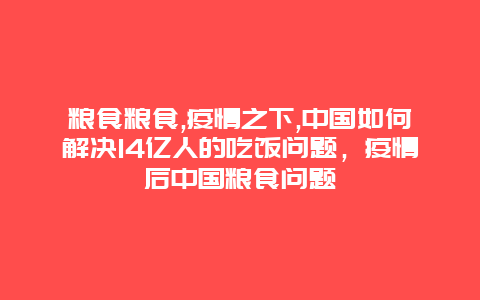 粮食粮食,疫情之下,中国如何解决14亿人的吃饭问题，疫情后中国粮食问题