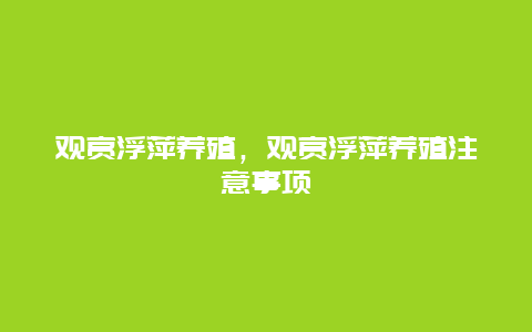 观赏浮萍养殖，观赏浮萍养殖注意事项