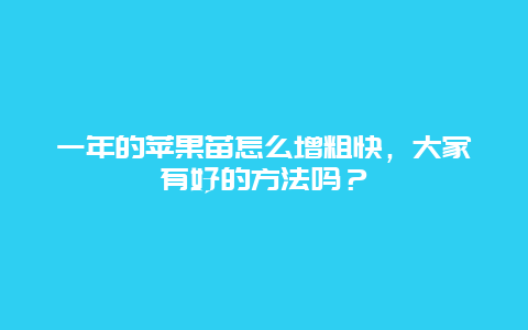 一年的苹果苗怎么增粗快，大家有好的方法吗？