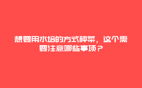 想要用水培的方式种菜，这个需要注意哪些事项？