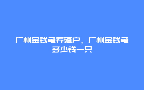 广州金钱龟养殖户，广州金钱龟多少钱一只