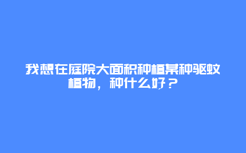 我想在庭院大面积种植某种驱蚊植物，种什么好？