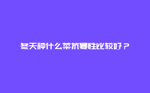 冬天种什么菜抗寒性比较好？