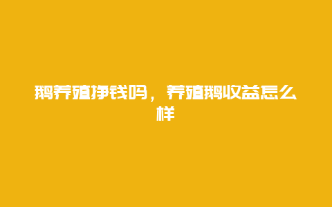 鹅养殖挣钱吗，养殖鹅收益怎么样