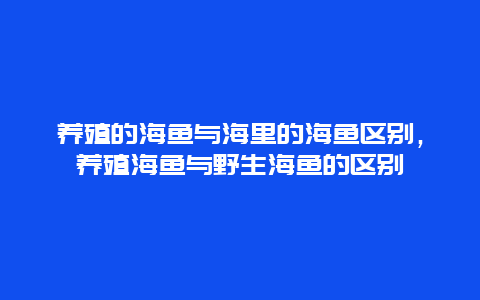 养殖的海鱼与海里的海鱼区别，养殖海鱼与野生海鱼的区别