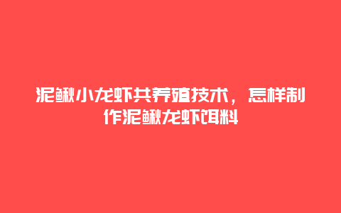 泥鳅小龙虾共养殖技术，怎样制作泥鳅龙虾饵料