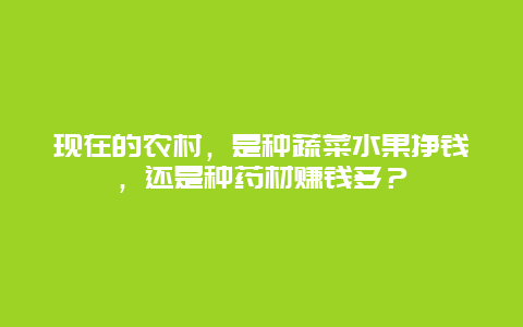 现在的农村，是种蔬菜水果挣钱，还是种药材赚钱多？