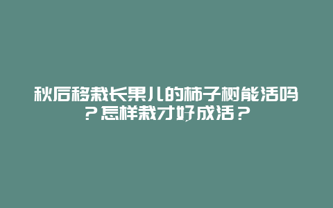 秋后移栽长果儿的柿子树能活吗？怎样栽才好成活？