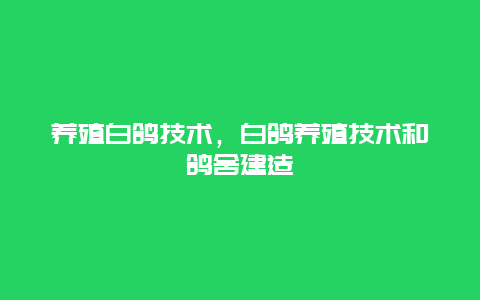 养殖白鸽技术，白鸽养殖技术和鸽舍建造