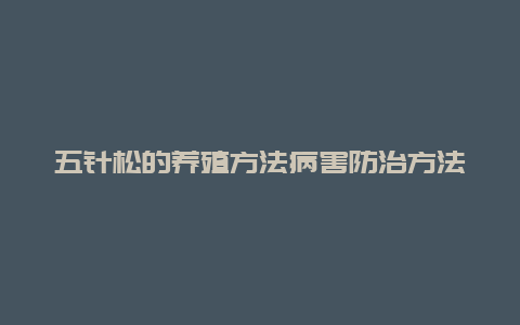 五针松的养殖方法病害防治方法