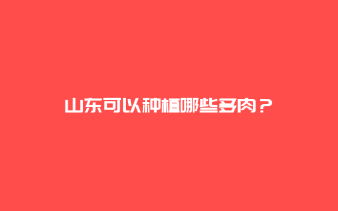 山东可以种植哪些多肉？