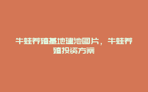 牛蛙养殖基地建池图片，牛蛙养殖投资方案