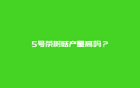 5号茶树菇产量高吗？