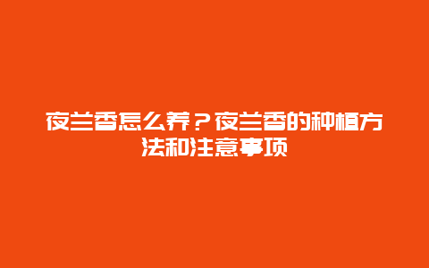 夜兰香怎么养？夜兰香的种植方法和注意事项