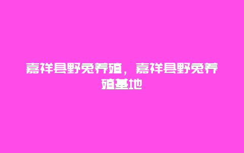 嘉祥县野兔养殖，嘉祥县野兔养殖基地