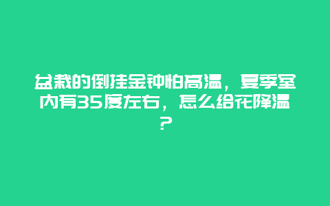 盆栽的倒挂金钟怕高温，夏季室内有35度左右，怎么给花降温？