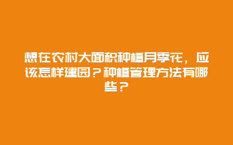 想在农村大面积种植月季花，应该怎样建园？种植管理方法有哪些？